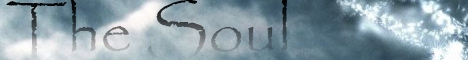TheSoul Banner