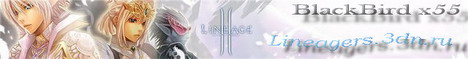 Lineage 2 Gracia Final Server x55 Banner